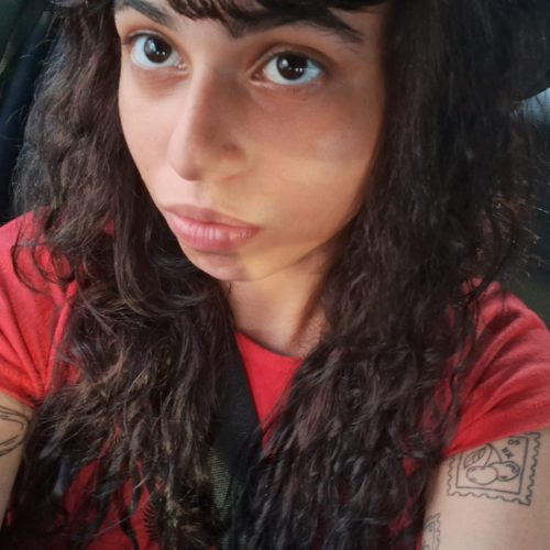 Anna Letícya Cavalcanti Cabral