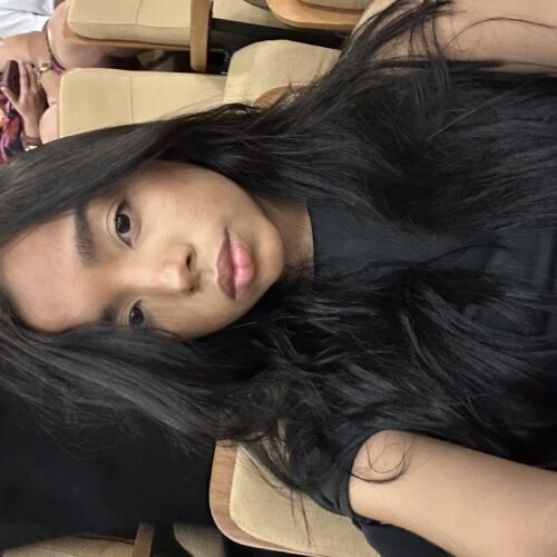 Cinthya Gabrielly de Melo Silva